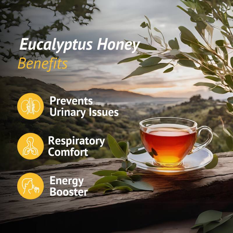 Eucalyptus Honey