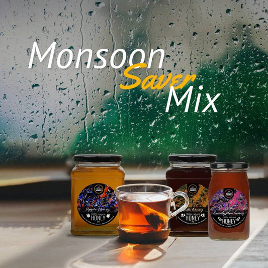 Monsoon Saver Pack